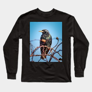 Common starling Long Sleeve T-Shirt